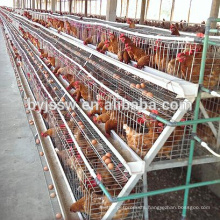 Poultry Egg Layer Cage For 96 Birds, 120 Birds, 160 Birds